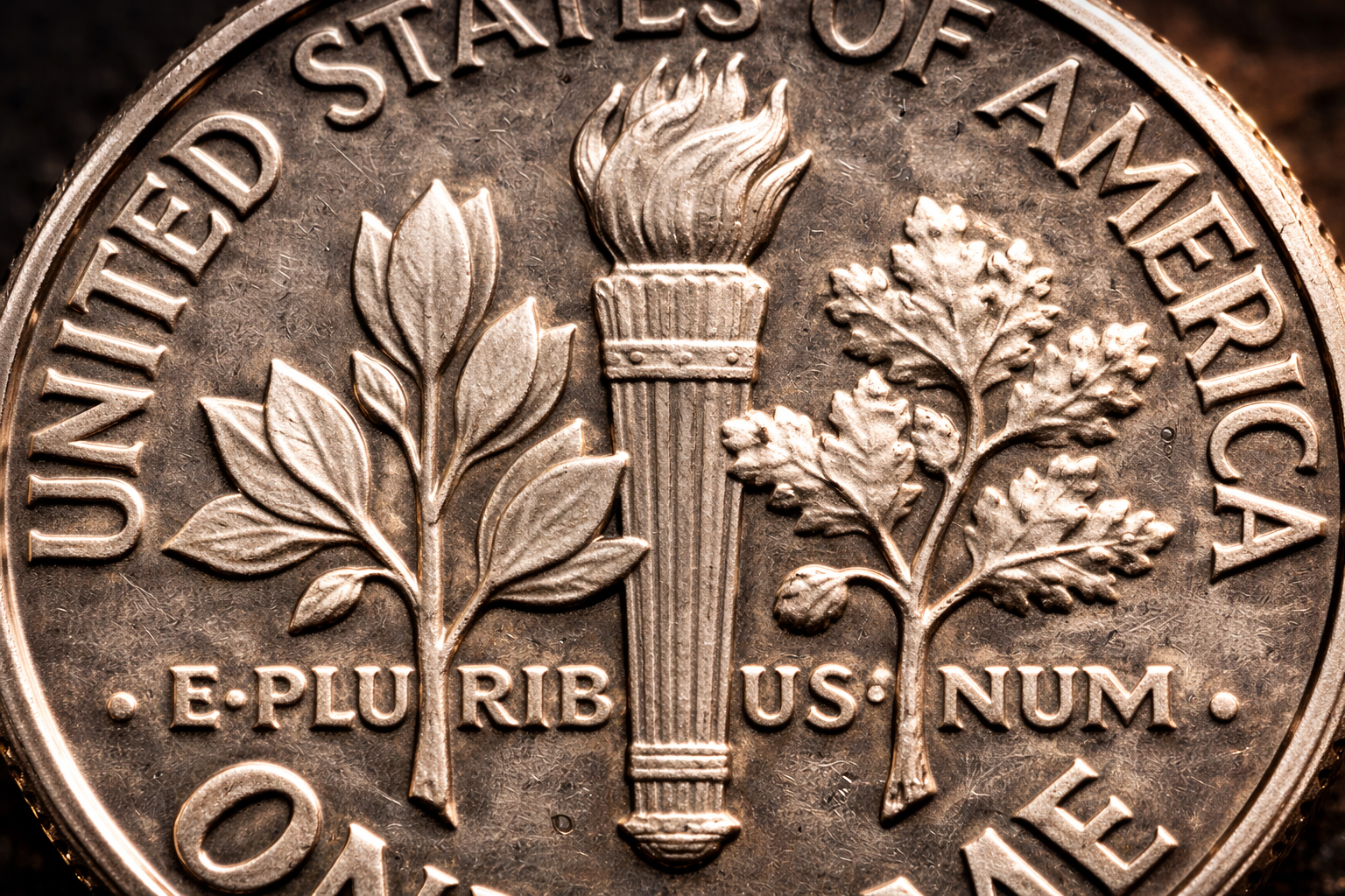 Close up of torch olive branch and oak branch on Roosevelt dime